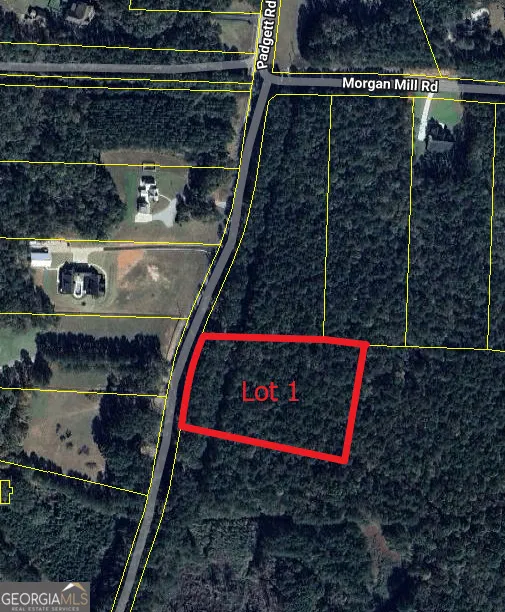 0 Padgett RD Senoia, GA 30276