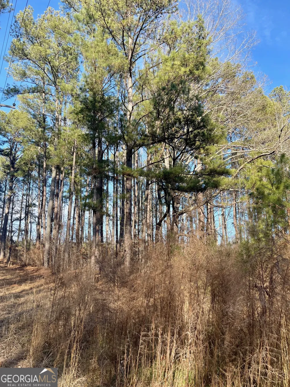 0 Padgett RD Senoia, GA 30276