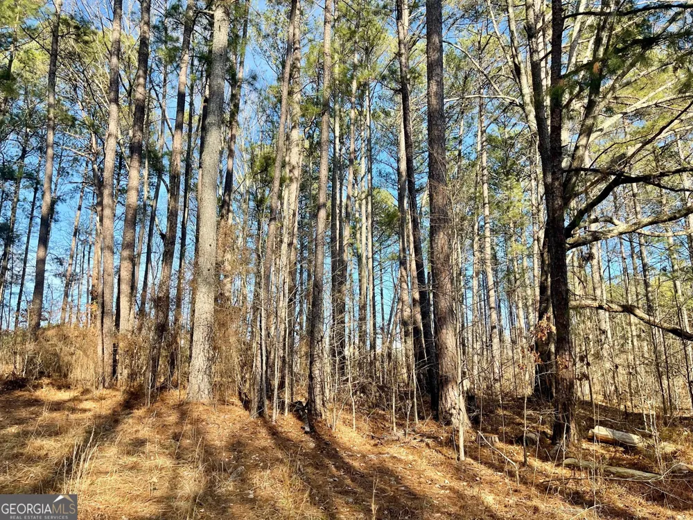 0 Padgett RD Senoia, GA 30276