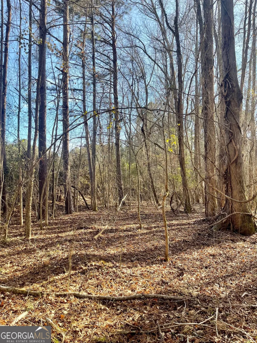 0 Padgett RD Senoia, GA 30276