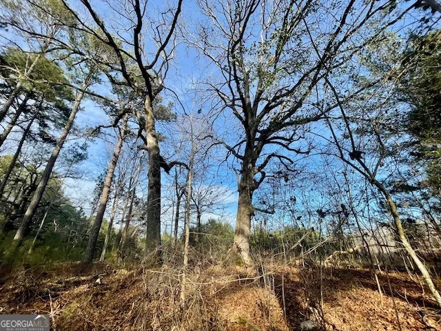 0 Padgett RD Senoia, GA 30276