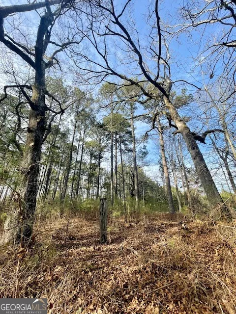0 Padgett RD Senoia, GA 30276