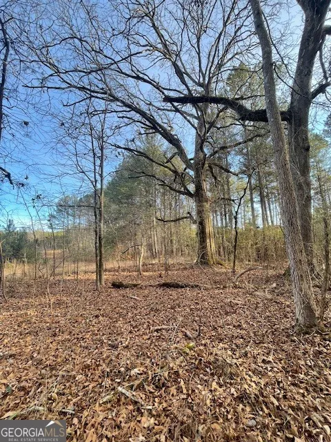 0 Padgett RD Senoia, GA 30276