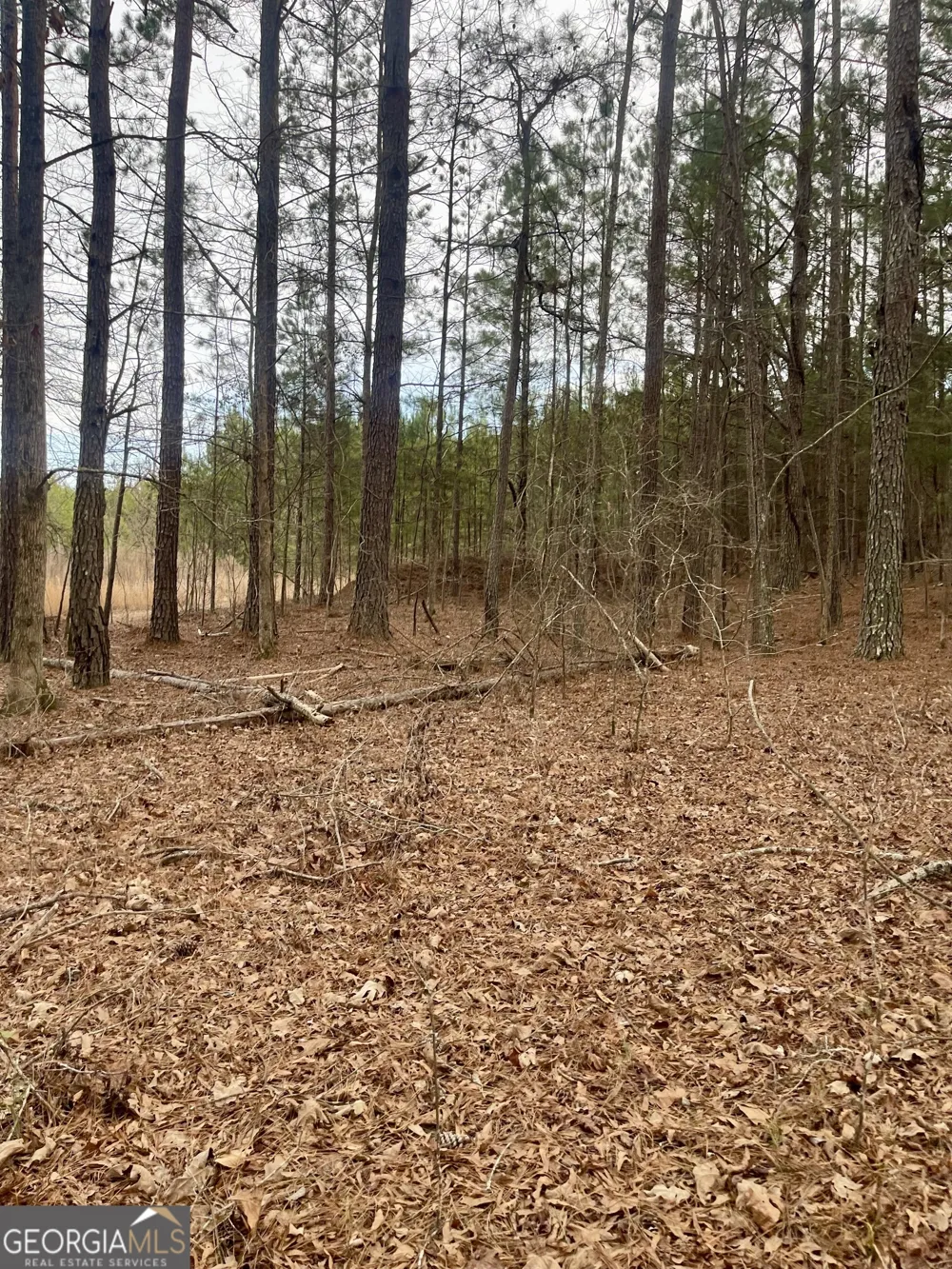 0 Padgett RD Senoia, GA 30276