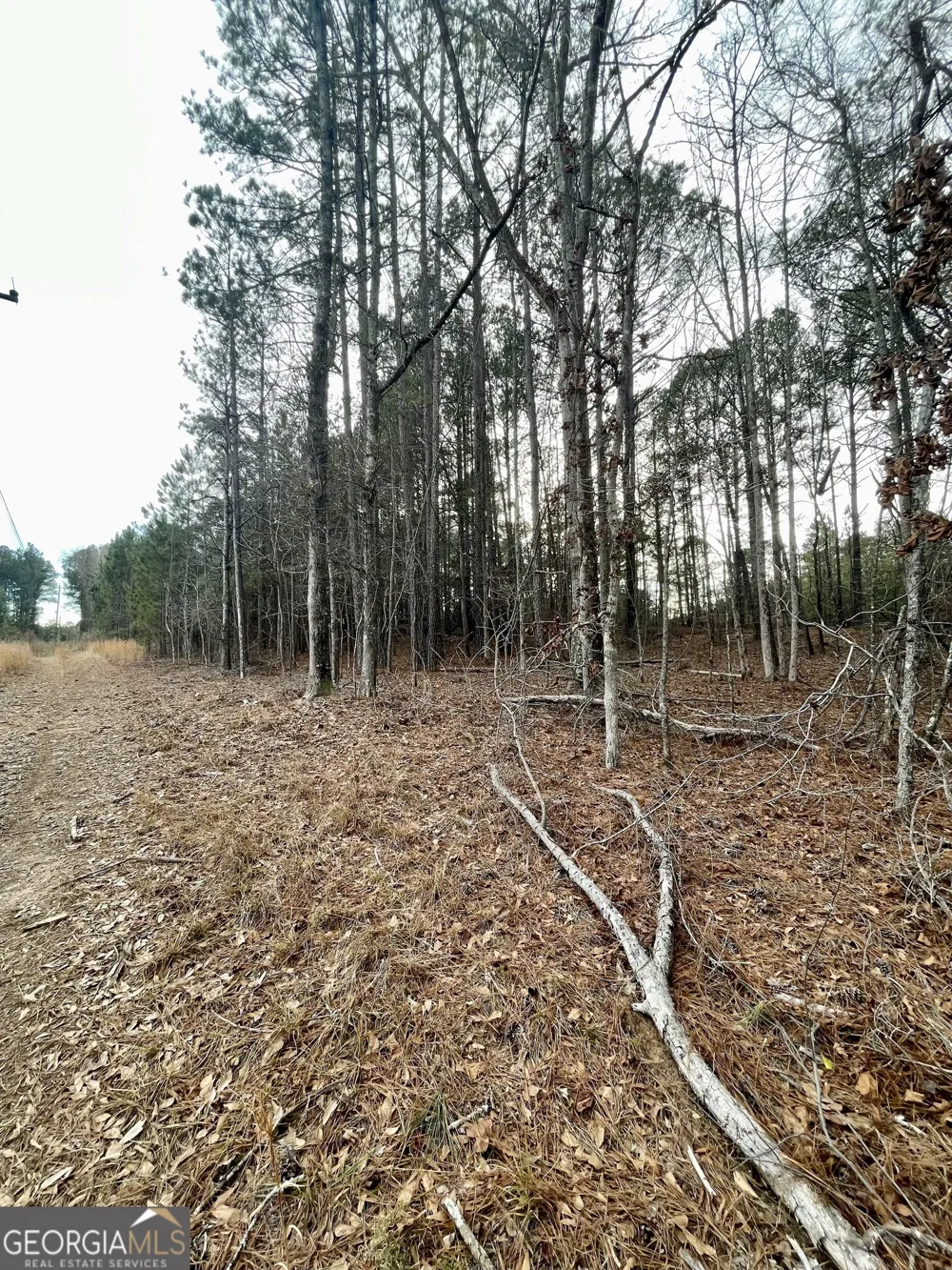 0 Padgett RD Senoia, GA 30276