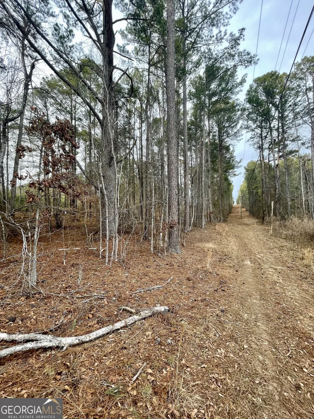 0 Padgett RD Senoia, GA 30276