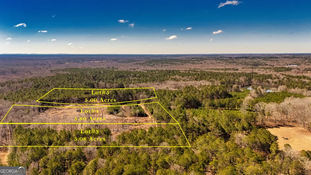 0 Padgett RD Senoia, GA 30276
