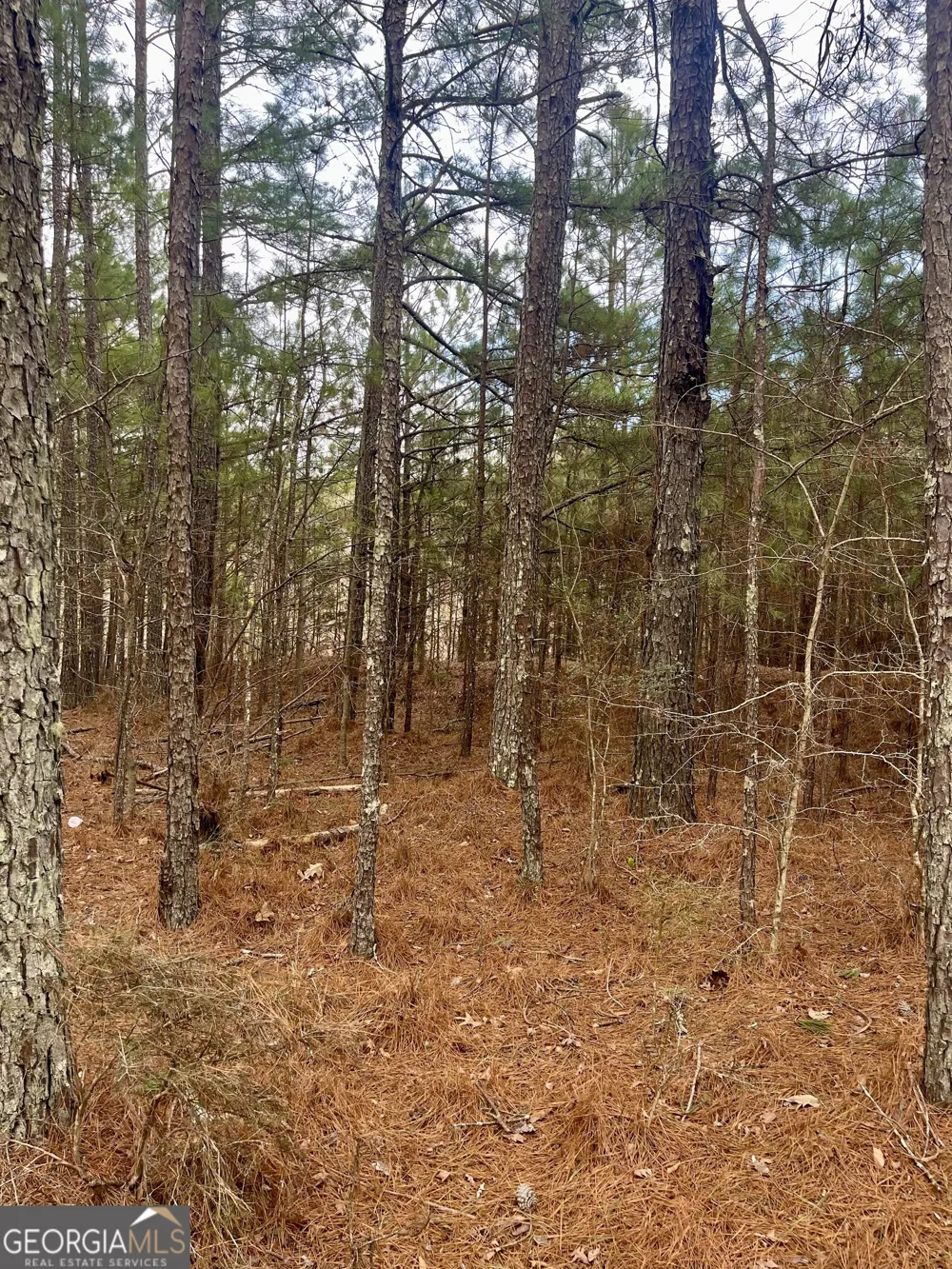 0 Padgett RD Senoia, GA 30276