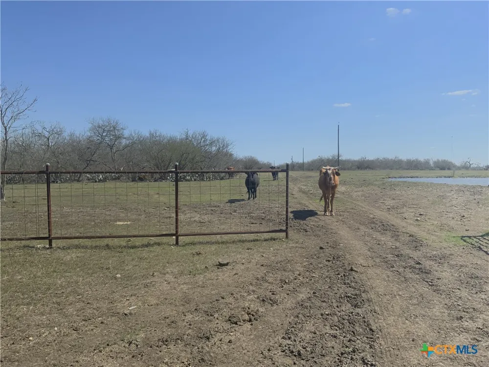 2647 Fm 3282 Gonzales, TX 78629