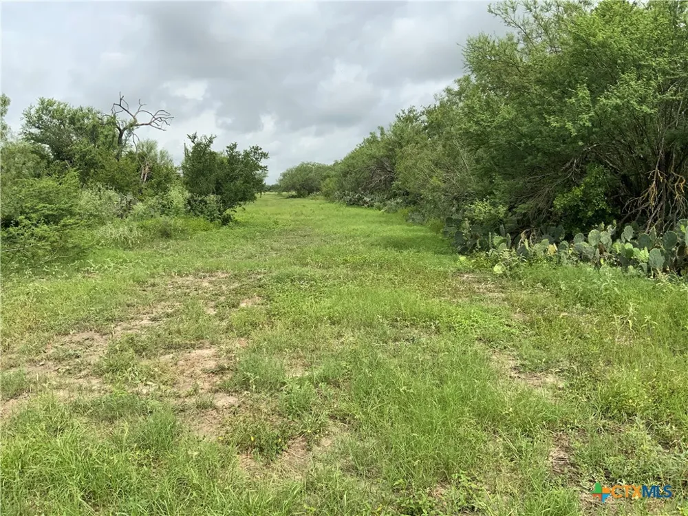 2647 Fm 3282 Gonzales, TX 78629