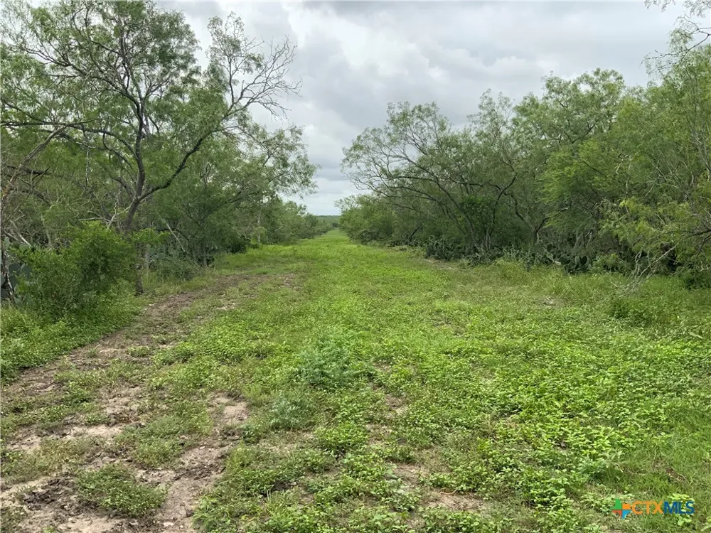 2647 Fm 3282 Gonzales, TX 78629