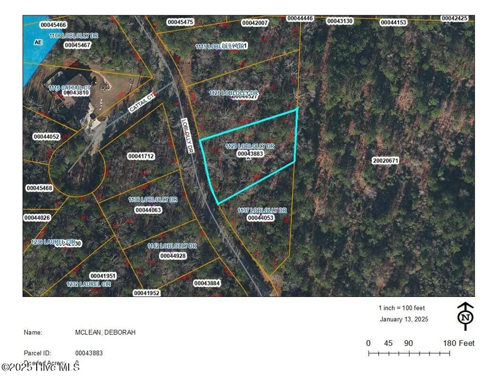 1129 Loblolly Drive Vass, NC 28394