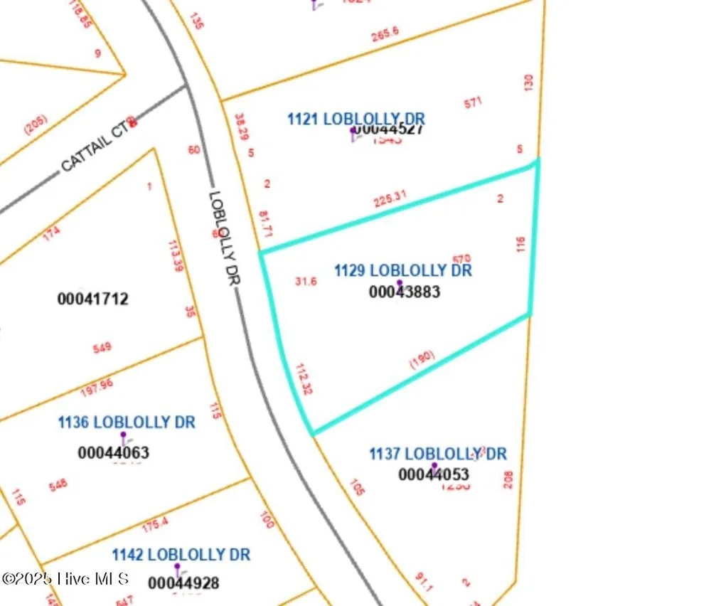 1129 Loblolly Drive Vass, NC 28394