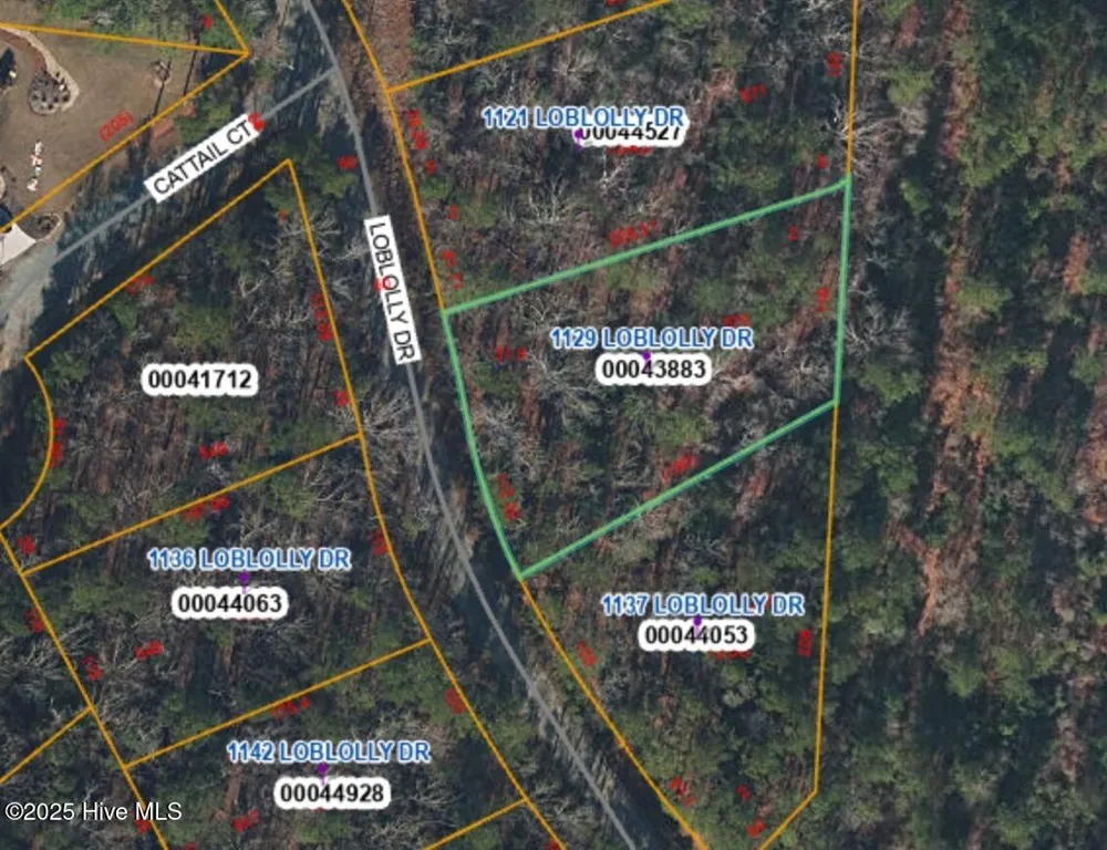 1129 Loblolly Drive Vass, NC 28394
