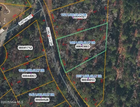 1129 Loblolly Drive
