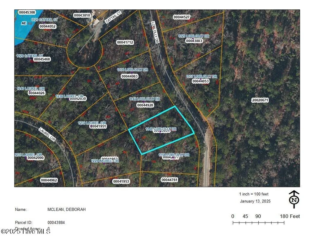 1148 Loblolly Drive Vass, NC 28394