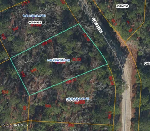 1148 Loblolly Drive