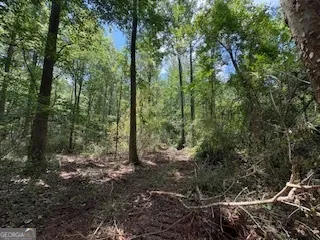 LOT 17 Smith RD