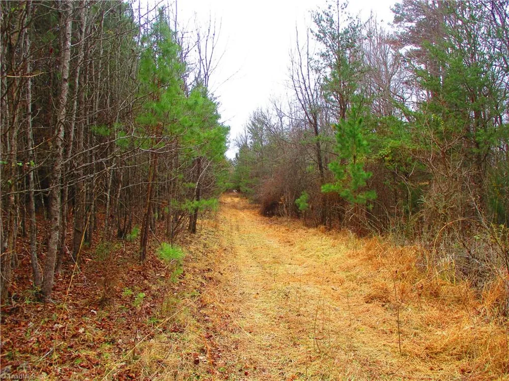 1809 Alamance Church Road Greensboro, NC 27406