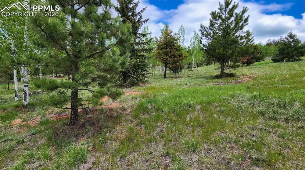 210 Bridlewood Lane Woodland Park, CO 80863