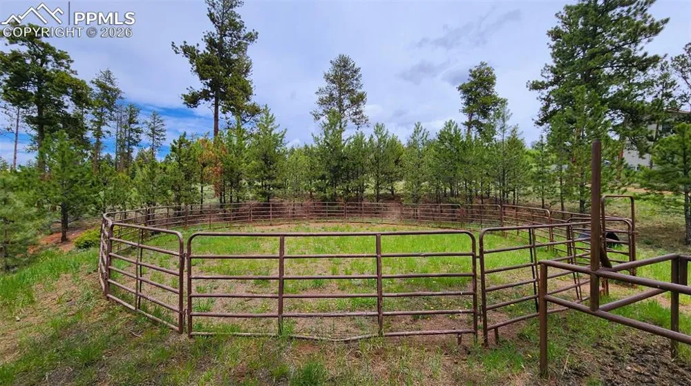 210 Bridlewood Lane Woodland Park, CO 80863