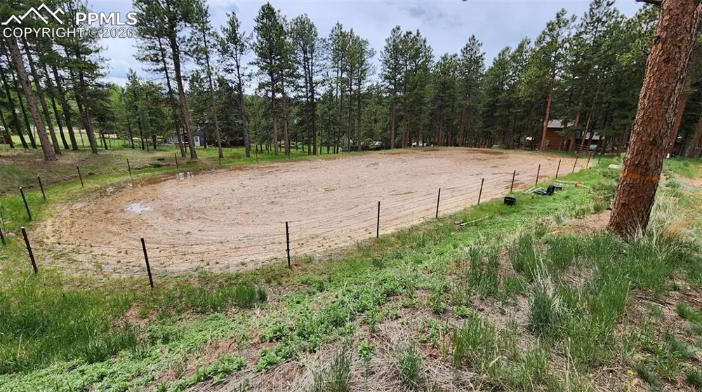 210 Bridlewood Lane Woodland Park, CO 80863