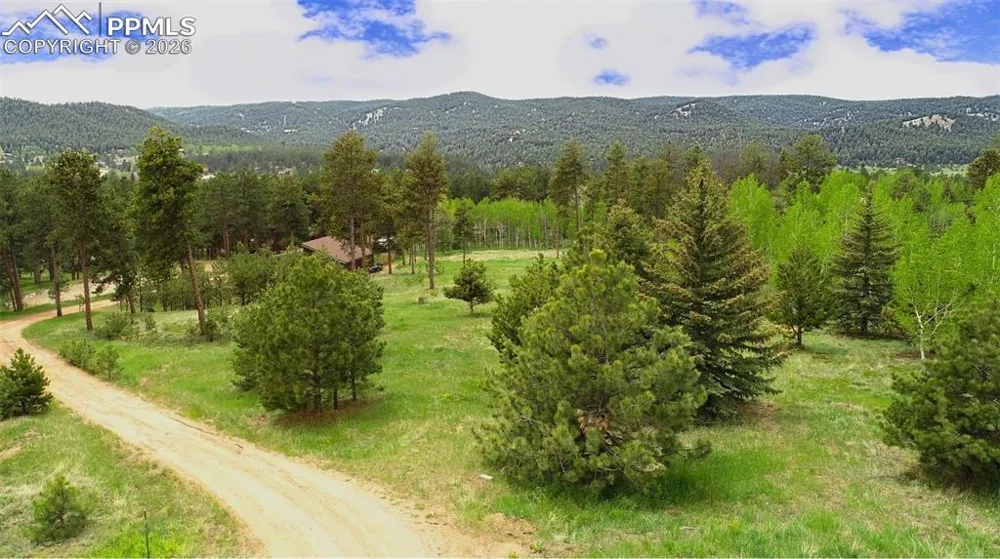 210 Bridlewood Lane Woodland Park, CO 80863