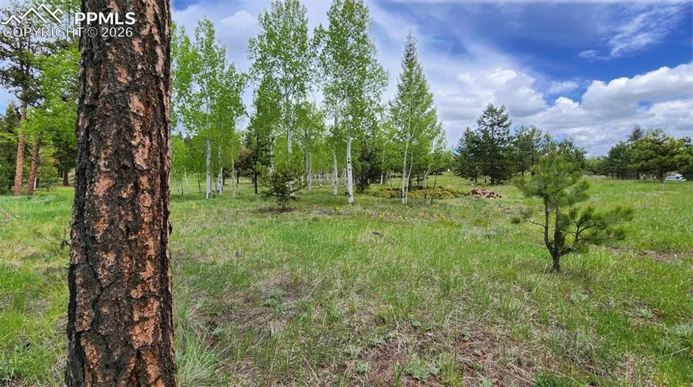 210 Bridlewood Lane Woodland Park, CO 80863