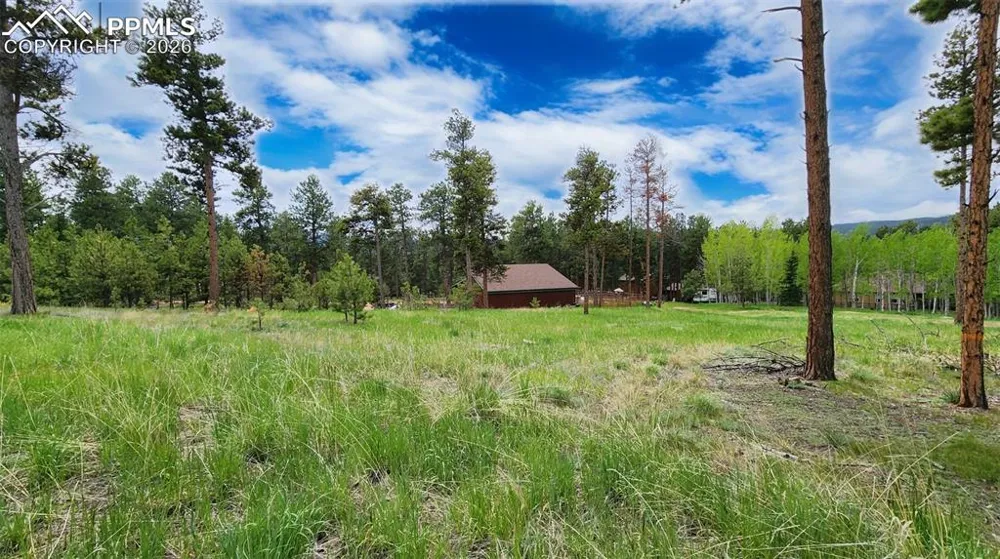 210 Bridlewood Lane Woodland Park, CO 80863