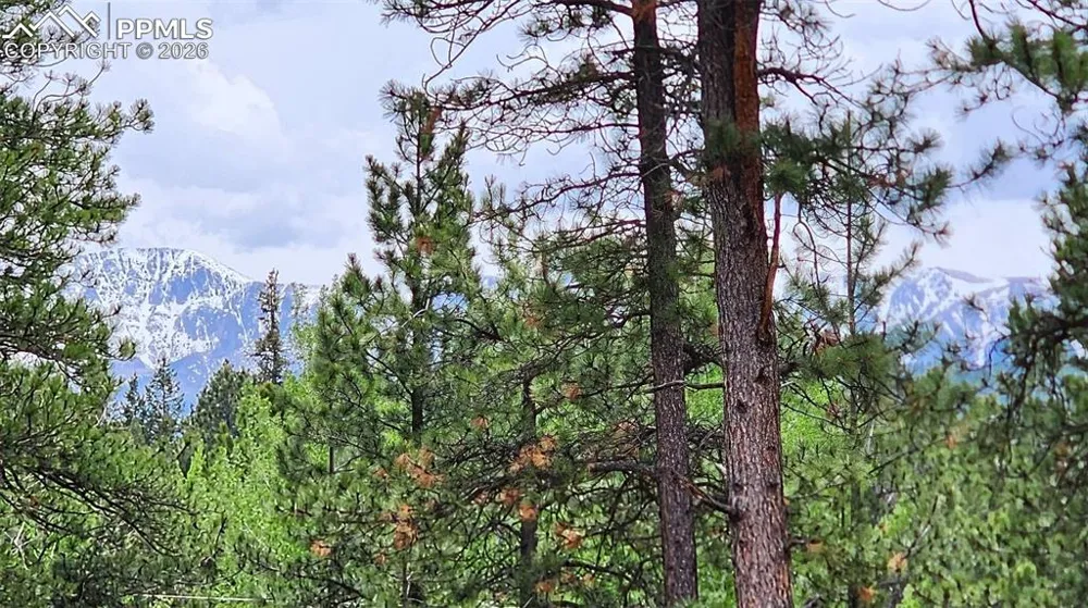210 Bridlewood Lane Woodland Park, CO 80863