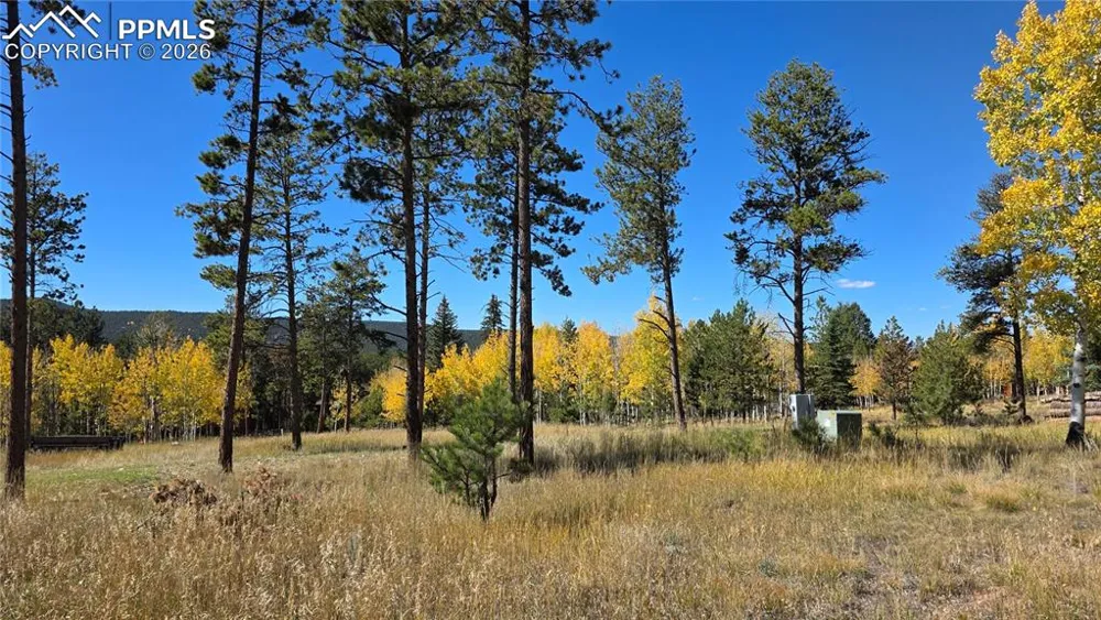 210 Bridlewood Lane Woodland Park, CO 80863