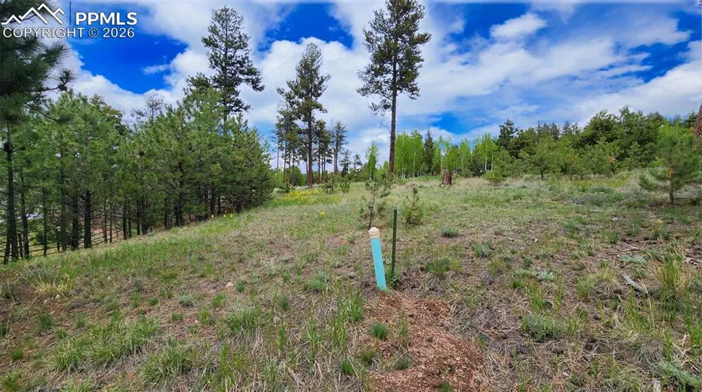 210 Bridlewood Lane Woodland Park, CO 80863