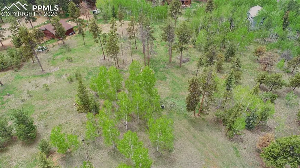 210 Bridlewood Lane Woodland Park, CO 80863