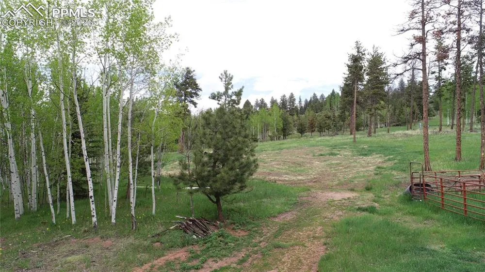210 Bridlewood Lane Woodland Park, CO 80863