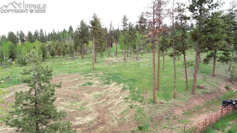 210 Bridlewood Lane Woodland Park, CO 80863