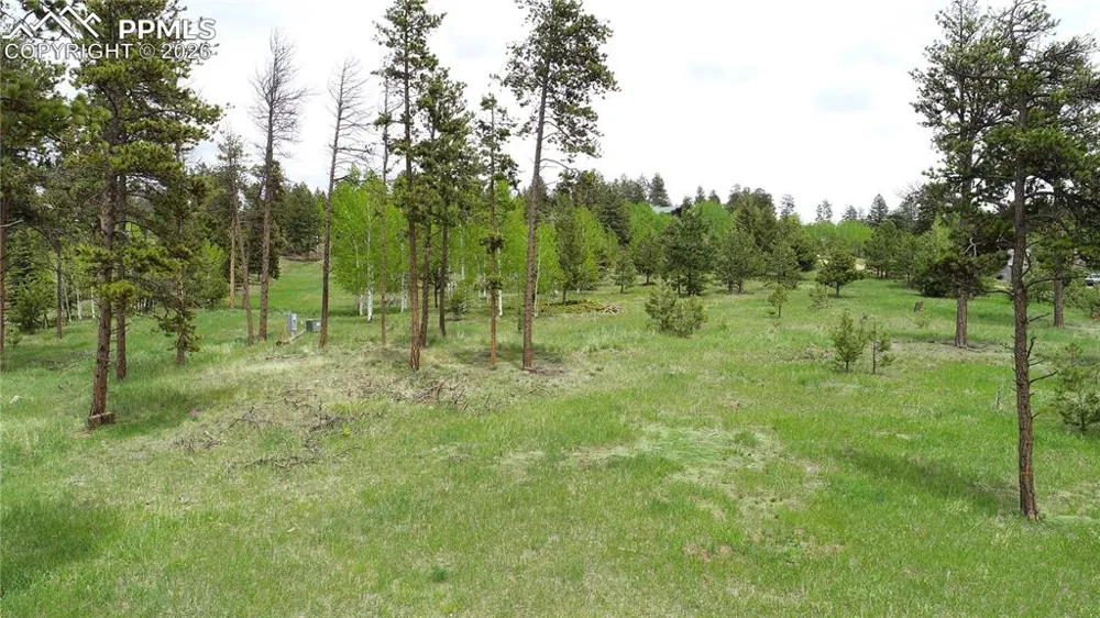 210 Bridlewood Lane Woodland Park, CO 80863
