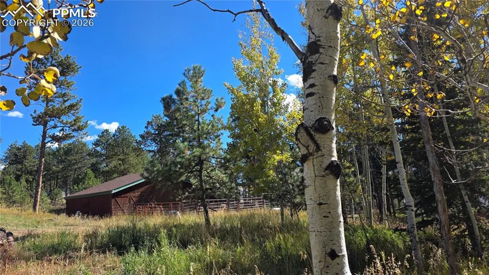 210 Bridlewood Lane Woodland Park, CO 80863