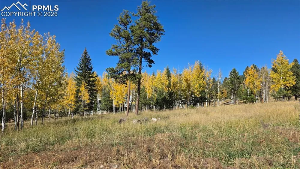 210 Bridlewood Lane Woodland Park, CO 80863