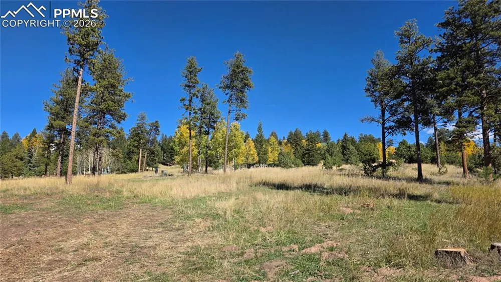 210 Bridlewood Lane Woodland Park, CO 80863
