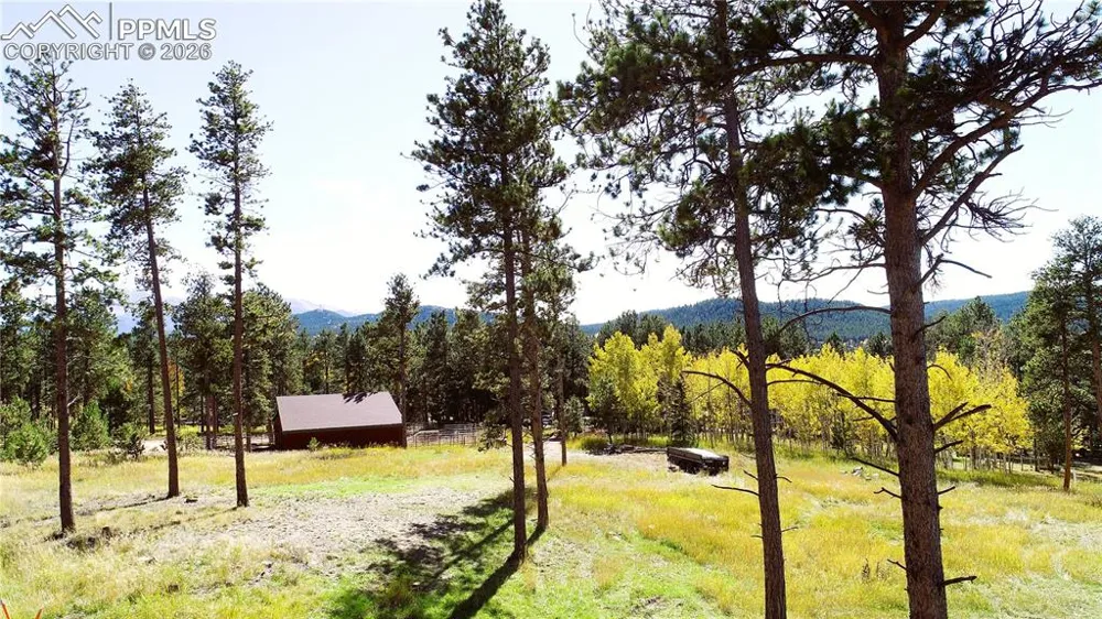 210 Bridlewood Lane Woodland Park, CO 80863