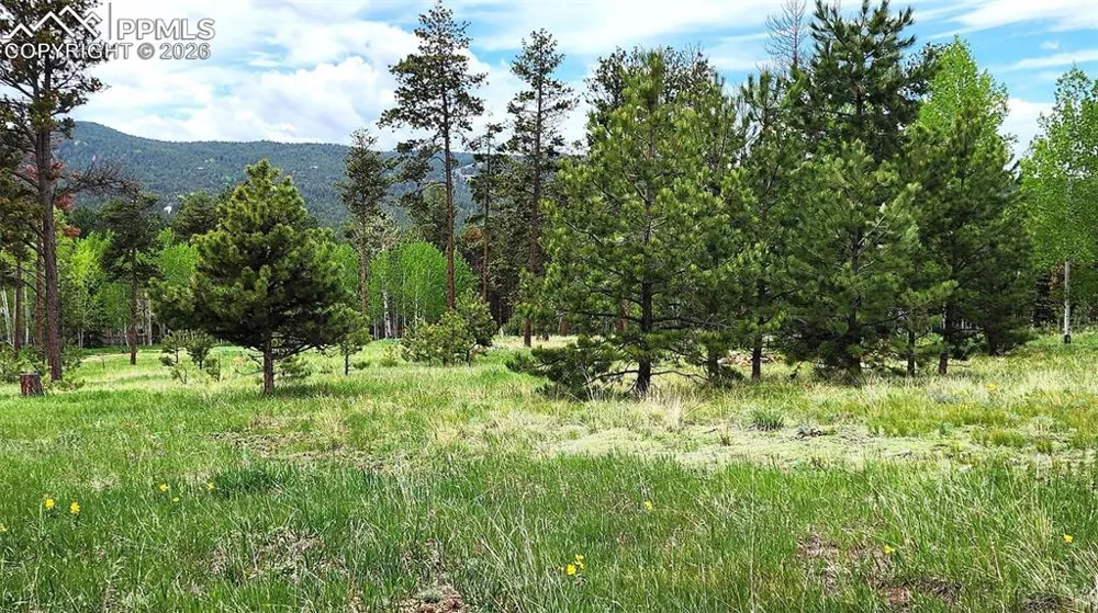 210 Bridlewood Lane Woodland Park, CO 80863