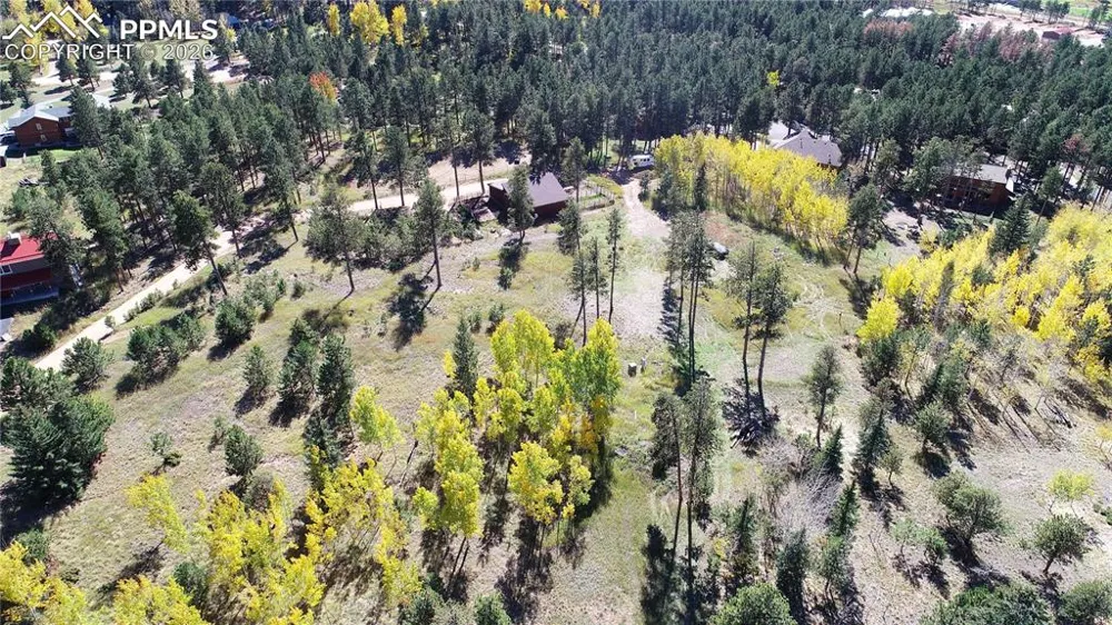 210 Bridlewood Lane Woodland Park, CO 80863