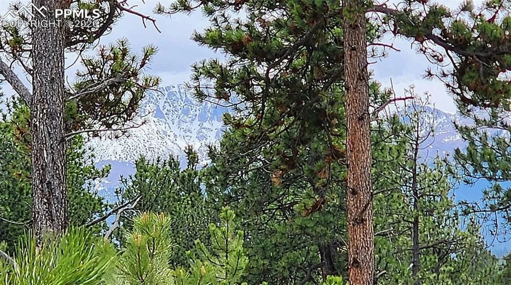 210 Bridlewood Lane Woodland Park, CO 80863