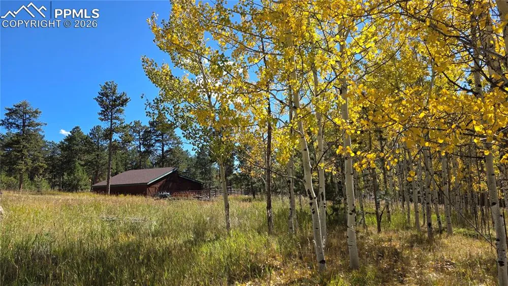 210 Bridlewood Lane Woodland Park, CO 80863