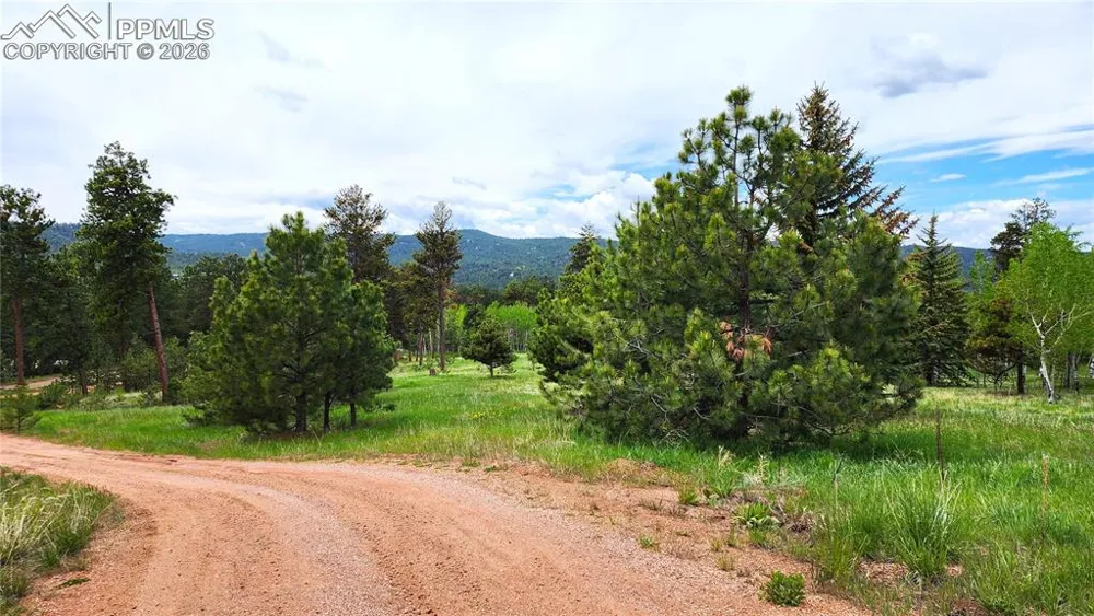 210 Bridlewood Lane Woodland Park, CO 80863