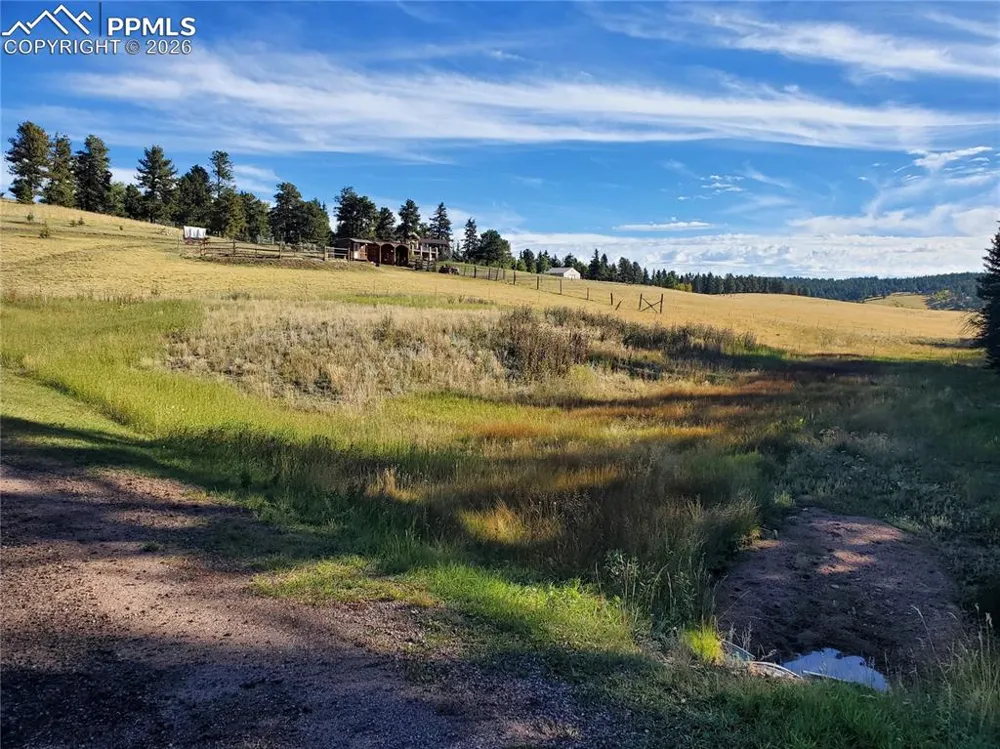 309 Pinaceae Heights Divide, CO 80814