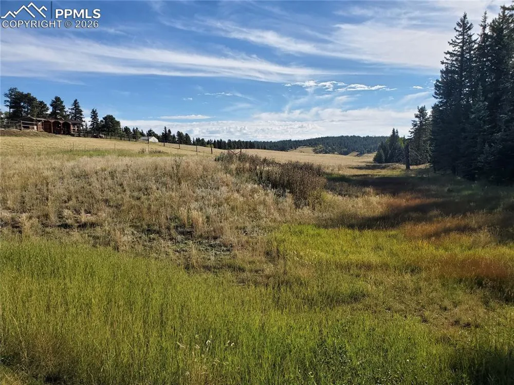 309 Pinaceae Heights Divide, CO 80814