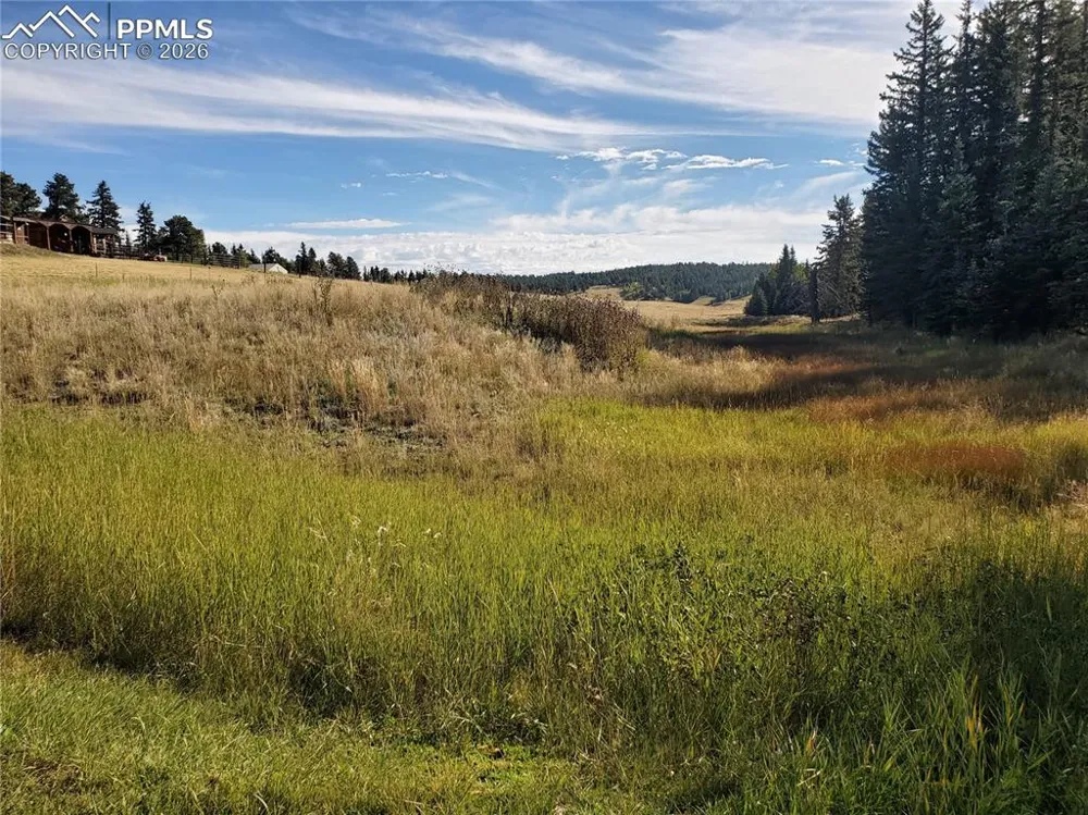 309 Pinaceae Heights Divide, CO 80814