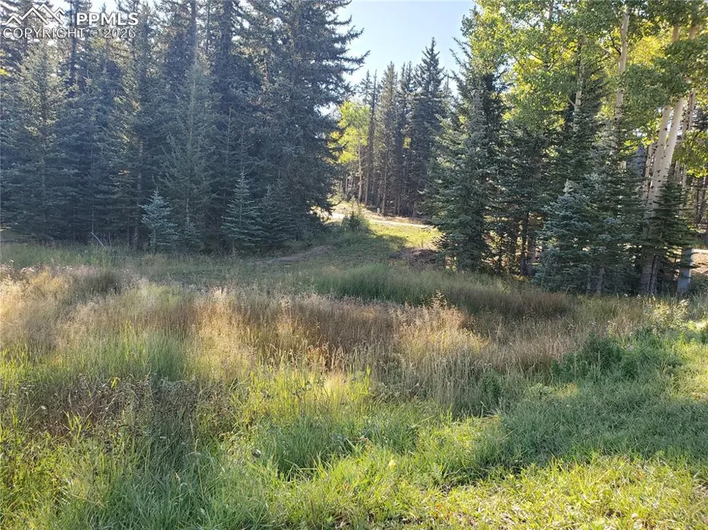 309 Pinaceae Heights Divide, CO 80814