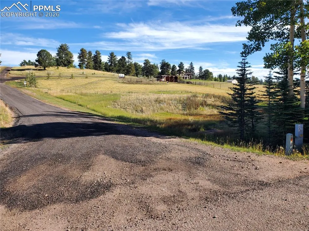 309 Pinaceae Heights Divide, CO 80814